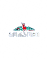 LSS პარტნიორი
